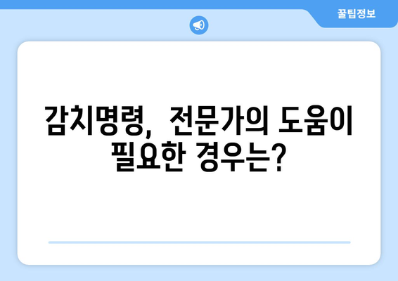 감치명령 발부 후, 나에게 필요한 정보는? | 감치명령, 대응 가이드, 권리 행사, 법률 정보