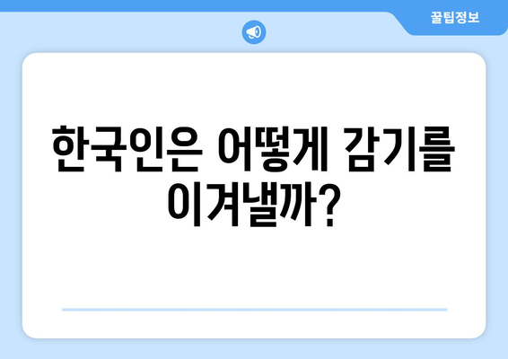 감기에 대한 국제적 관행| 다양한 문화 속에서 찾는 건강 지혜 | 감기, 국제 비교, 건강 관행, 민간 요법