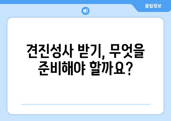 견진성사 준비 완벽 가이드| 영적 성장을 위한 단계별 안내 | 견진, 성사, 천주교, 기도, 준비, 영성