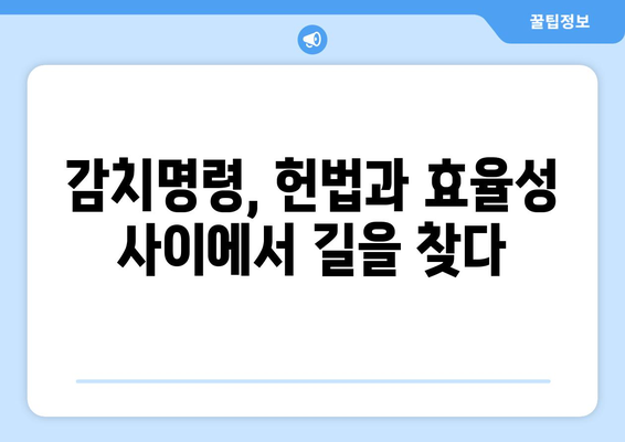 감치명령 발부, 사법적 검토 강화| 헌법적 정당성과 효과적 운영 방안 모색 | 감치명령, 사법심사, 헌법, 효율성, 법률 개정