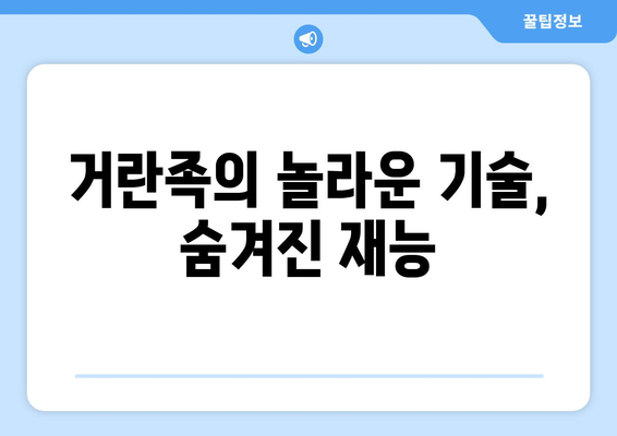 거란족의 일상생활| 10가지 놀라운 사실 | 거란, 역사, 문화, 생활