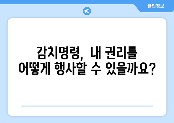 감치명령 발부 후, 나에게 필요한 정보는? | 감치명령, 대응 가이드, 권리 행사, 법률 정보