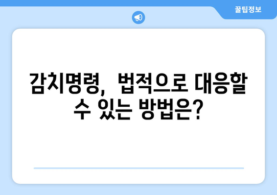 감치명령 발부 후, 나에게 필요한 정보는? | 감치명령, 대응 가이드, 권리 행사, 법률 정보