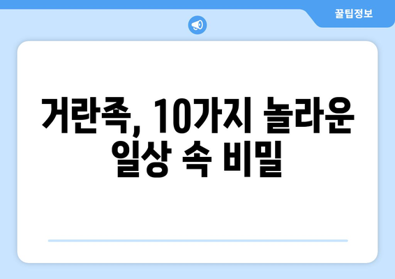 거란족의 일상생활| 10가지 놀라운 사실 | 거란, 역사, 문화, 생활