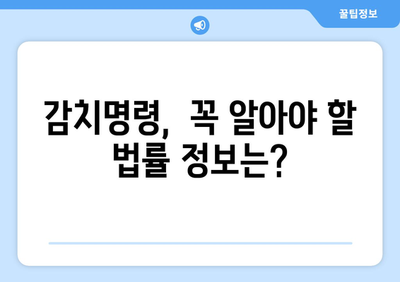 감치명령 발부 후, 나에게 필요한 정보는? | 감치명령, 대응 가이드, 권리 행사, 법률 정보