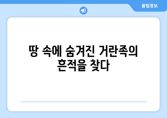 거란족 고고학 발굴의 새로운 발견| 역사 속 베일을 벗기다 | 고고학, 유물, 역사, 발굴, 거란족