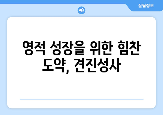 견진성사를 통한 신앙의 성숙| 하나님과 더 깊은 관계로 나아가는 길 | 견진성사, 신앙 성장, 영적 성장, 기독교