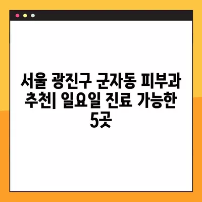 서울 광진구 군자동 피부과 추천| 일요일 진료 가능한 5곳 | 여드름, 보톡스, 레이저제모, 필러, 리프팅 비교