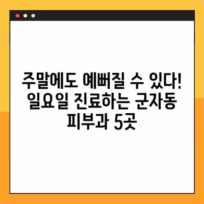 서울 광진구 군자동 피부과 추천| 일요일 진료 가능한 5곳 | 여드름, 보톡스, 레이저제모, 필러, 리프팅 비교