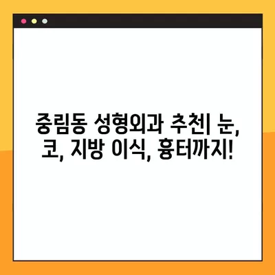 서울 중구 중림동 성형외과 추천| 눈, 코, 지방이식, 흉터까지! | 일요일 진료 가능한 전문의 2곳 비교