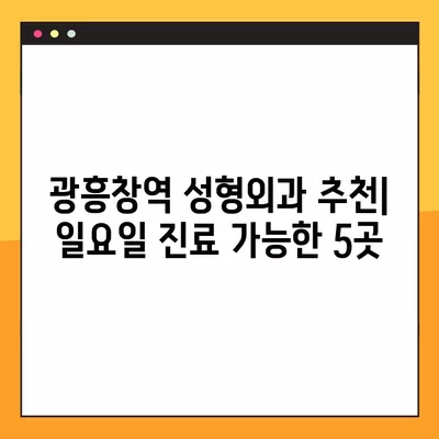 광흥창역 성형외과 추천| 일요일 진료 가능한 유명한 5곳 | 눈, 지방이식, 흉터, 코, 얼굴 전문의