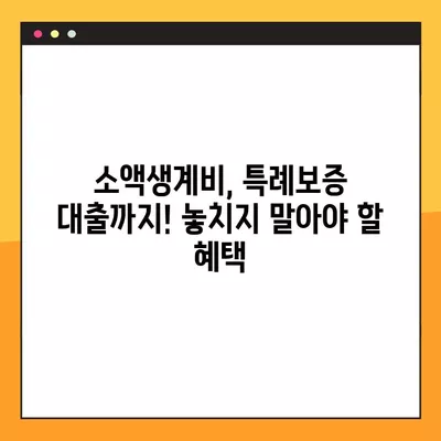 2024년 기초생활수급자 지원| 주거, 생계, 특례보증 대출 한눈에 보기 | 월세, 동사무소, 소액생계비, 사회적 배려대상자