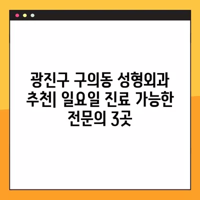 광진구 구의동 성형외과 추천| 일요일 진료 가능한 전문의 3곳 | 흉터, 코, 얼굴, 눈, 지방이식 비교 가이드