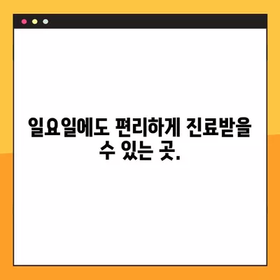 광진구 구의동 성형외과 추천| 일요일 진료 가능한 전문의 3곳 | 흉터, 코, 얼굴, 눈, 지방이식 비교 가이드