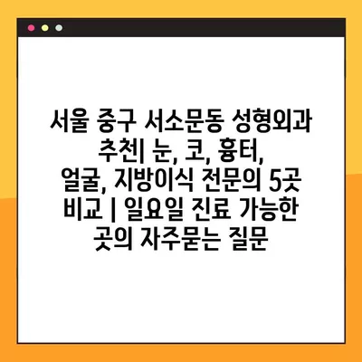 서울 중구 서소문동 성형외과 추천| 눈, 코, 흉터, 얼굴, 지방이식 전문의 5곳 비교 | 일요일 진료 가능한 곳