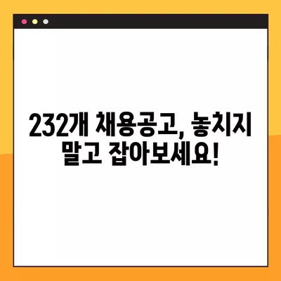 화순군 공무직 일자리 채용 정보| 사람인, 벼룩시장, 잡코리아, 교차로 | 232개 채용공고 한눈에 보기