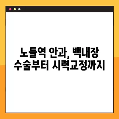 노들역 스마일 라식, 라섹 잘하는 안과 2곳 추천 | 렌즈삽입술, 백내장, 시력교정 수술 비용 정보