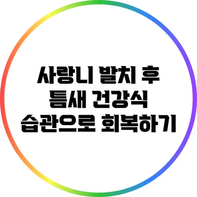 사랑니 발치 후 틈새 건강식 습관으로 회복하기