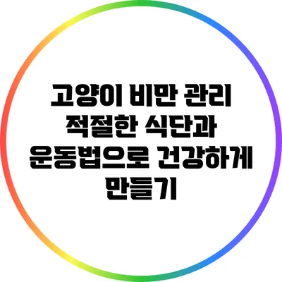 고양이 비만 관리: 적절한 식단과 운동법으로 건강하게 만들기