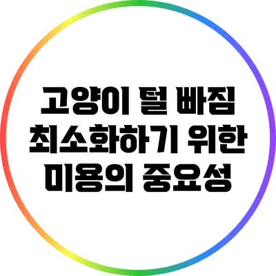 고양이 털 빠짐 최소화하기 위한 미용의 중요성