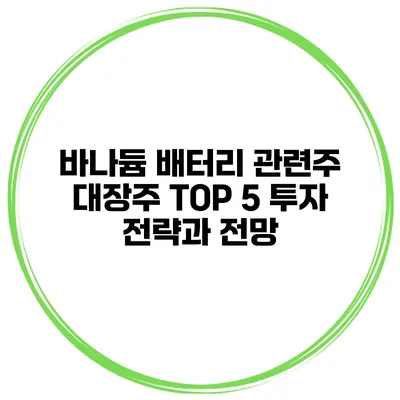 바나듐 배터리 관련주 대장주 TOP 5 투자 전략과 전망
