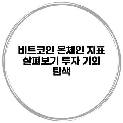 비트코인 온체인 지표 살펴보기 투자 기회 탐색