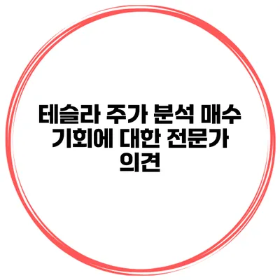 테슬라 주가 분석 매수 기회에 대한 전문가 의견