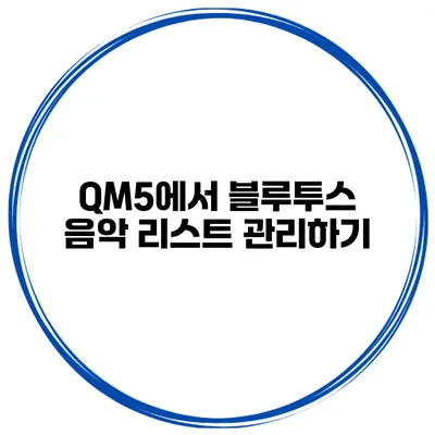QM5에서 블루투스 음악 리스트 관리하기